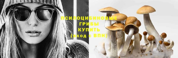кокаин премиум Баксан